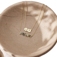 Personalized Pet Photo Name Necklace
